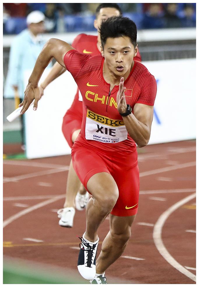 开云体育登录-新面孔力压群雄，斩获不俗成绩的简单介绍