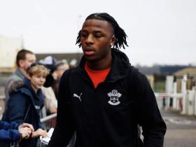 南特新援融入阵容，展现潜力的简单介绍