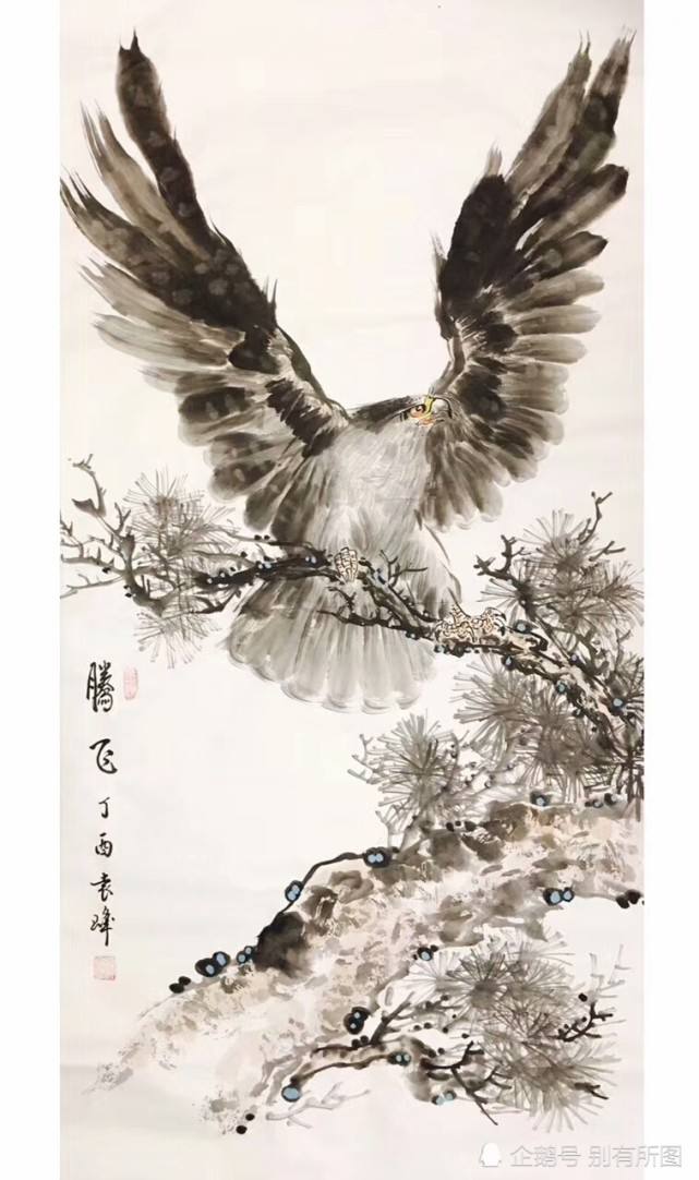 关于老鹰青年军成长快速，实力蒸蒸日上的信息