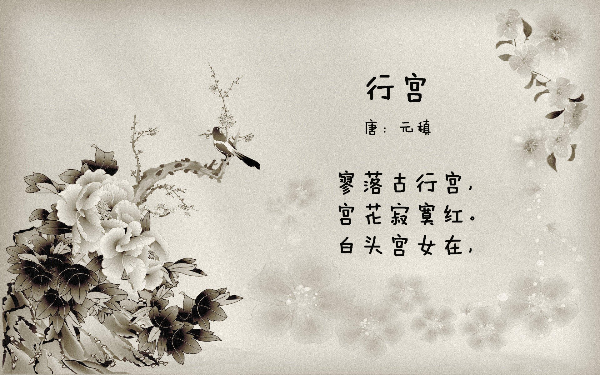 利刃撕开新大陆，美加墨世界杯之夜的凯塞多传奇