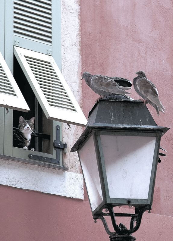 开云体育APP下载-东瀛魔术师闪耀国际舞台,三笘薰无争议当选全场最佳,阿尔及利亚加时鏖战力克皇家社会