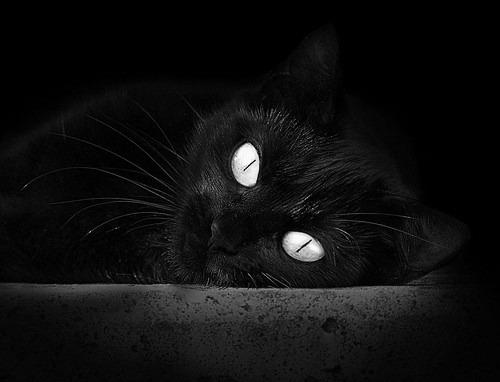 冰与火之歌，姆巴佩点燃烧凯尔特之夜