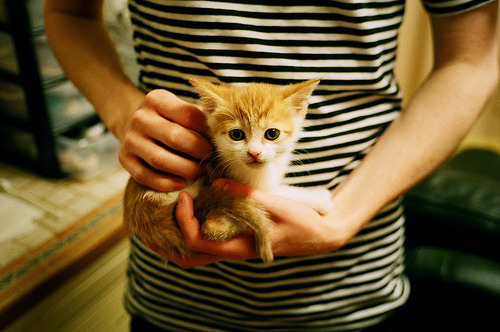 开云体育-当黑马神话照进现实，希腊队用唯一方式击溃卡塔尔，罗德里如何成为众望所归的关键先生？