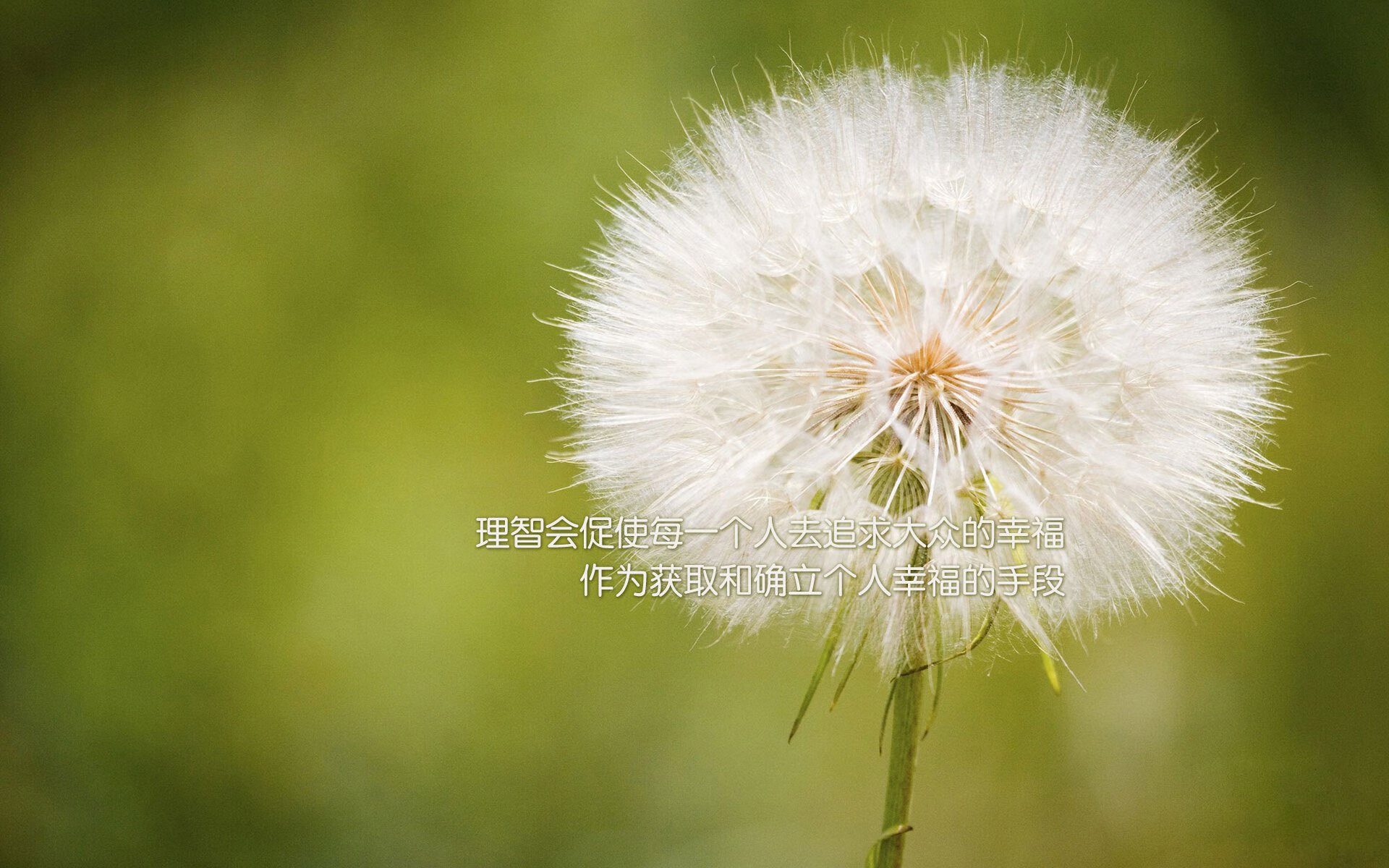 开云体育app-魔笛终章,当劳塔罗的狂飙撕裂撒哈拉防线—记那不勒斯与摩洛哥宿命之战