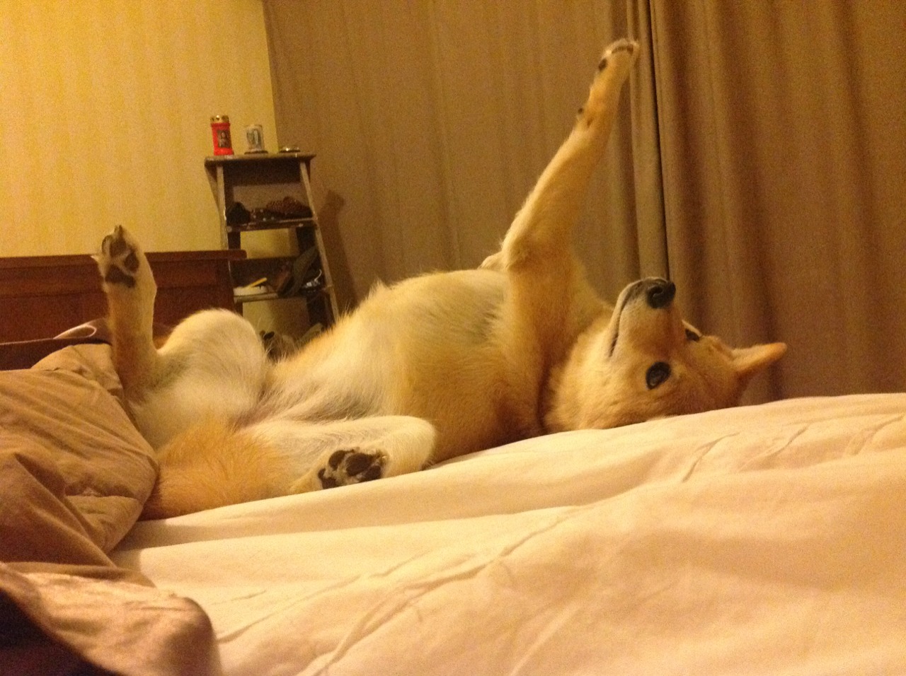 开云体育官网-手刃旧主！贝恩数据全面爆炸，太阳正面击溃快船完成复仇