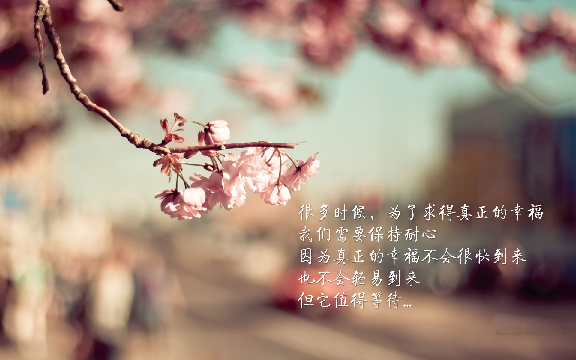 天鹅之舞与泥泞之战,罗德里一锤定音,德甲王冠终落谁家?