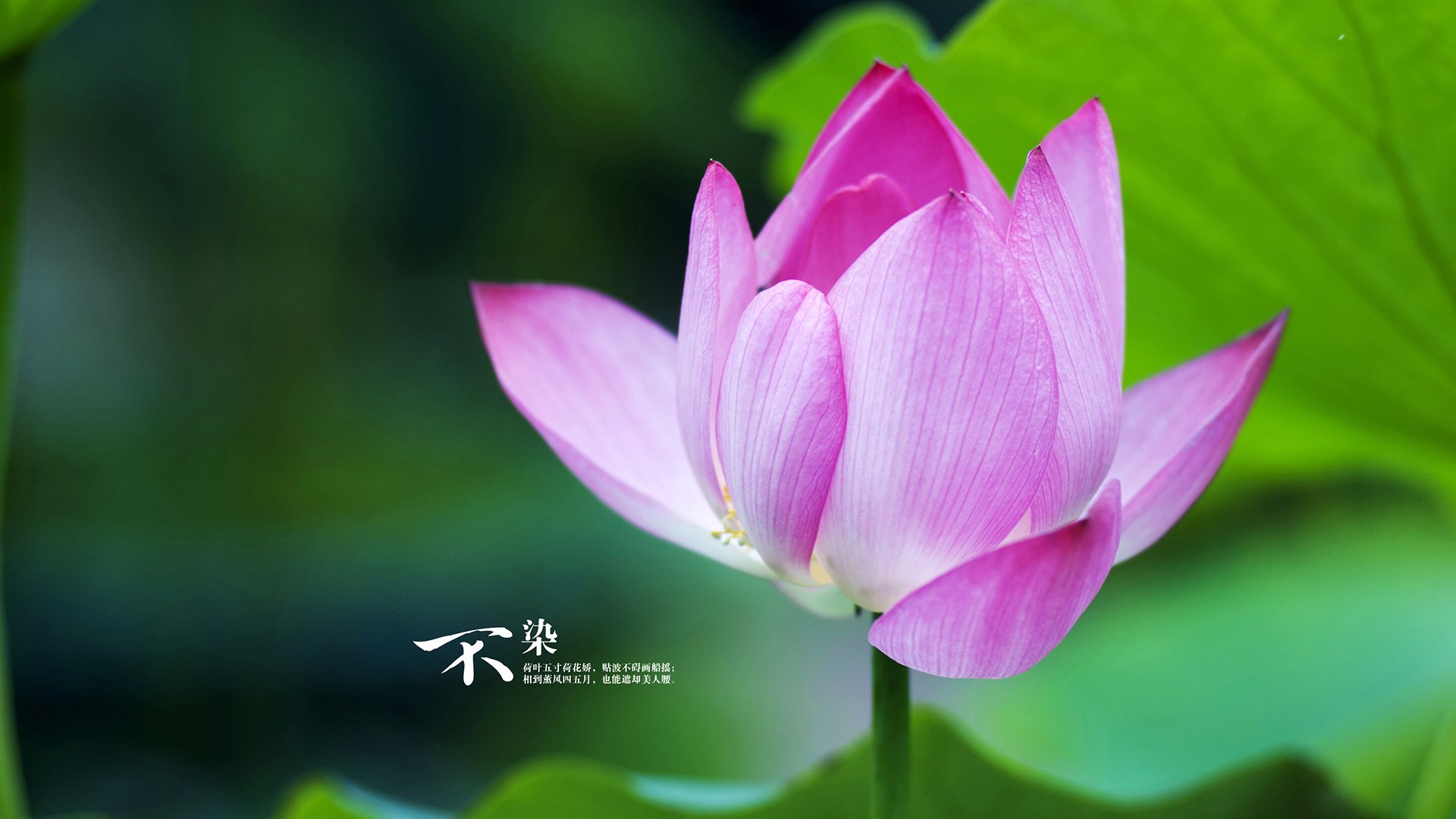 开云体育登录-虚拟跨界赛引热议，湖人对阵步行者概念战，拉梅洛数据刷屏