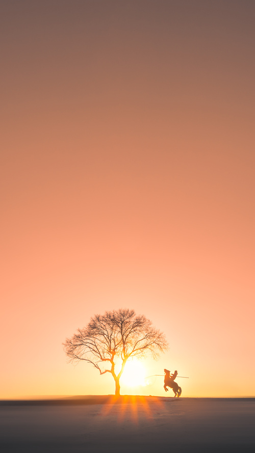 开云体育中国-前NBA冠军后卫一剑封喉！鹈鹕压哨绝杀广厦，范弗利特诠释何为冠军级表现