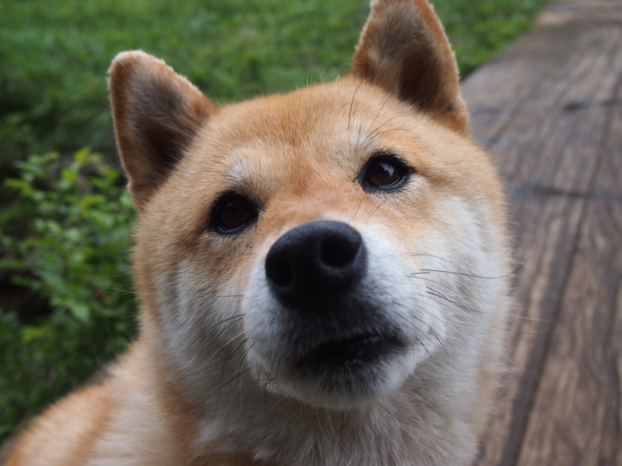 范弗利特，撕裂诺坎普之夜的三分雨