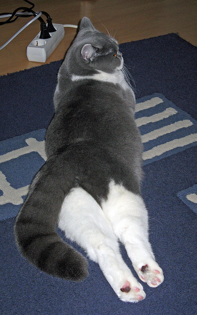 开云体育APP下载-虚空对决，哈登节奏绞杀下，辽宁队如何收割了尼克斯？