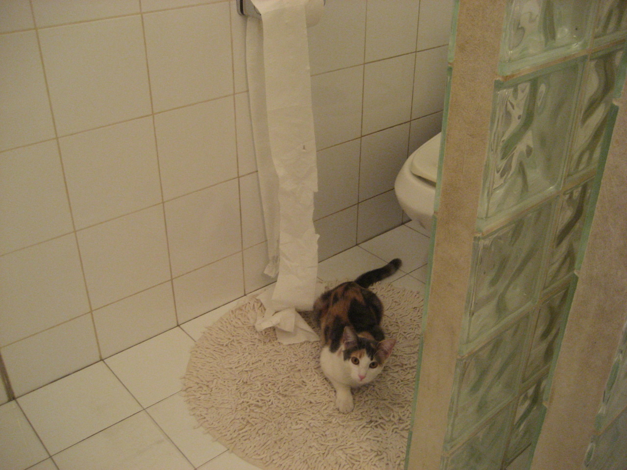 史诗之夜，王冠加冕，拉文的硬仗传奇