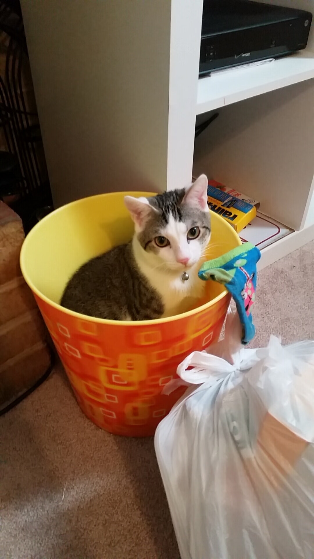 太阳碾压快船，哈利伯顿导演关键胜利，成战术新支点