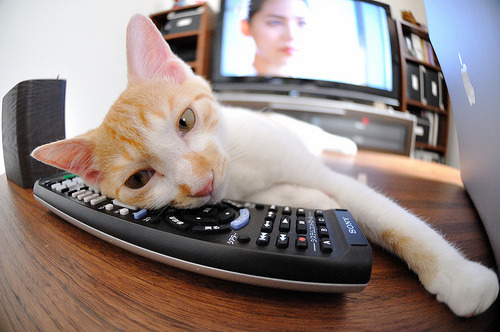 开云-53分！米切尔无争议最佳让老鹰在加时悬崖边飞越上海队