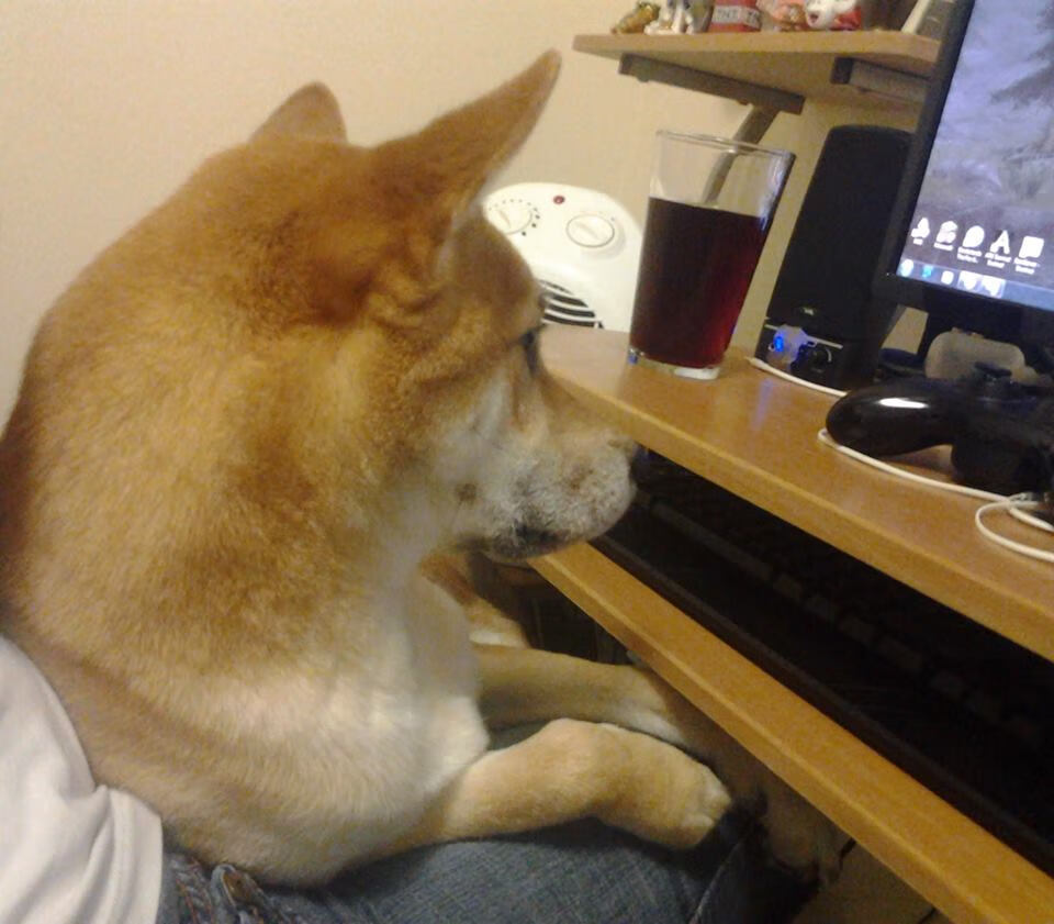 火焰与寒铁,卡拉斯科的激情点燃德国与那不勒斯的血拼之夜