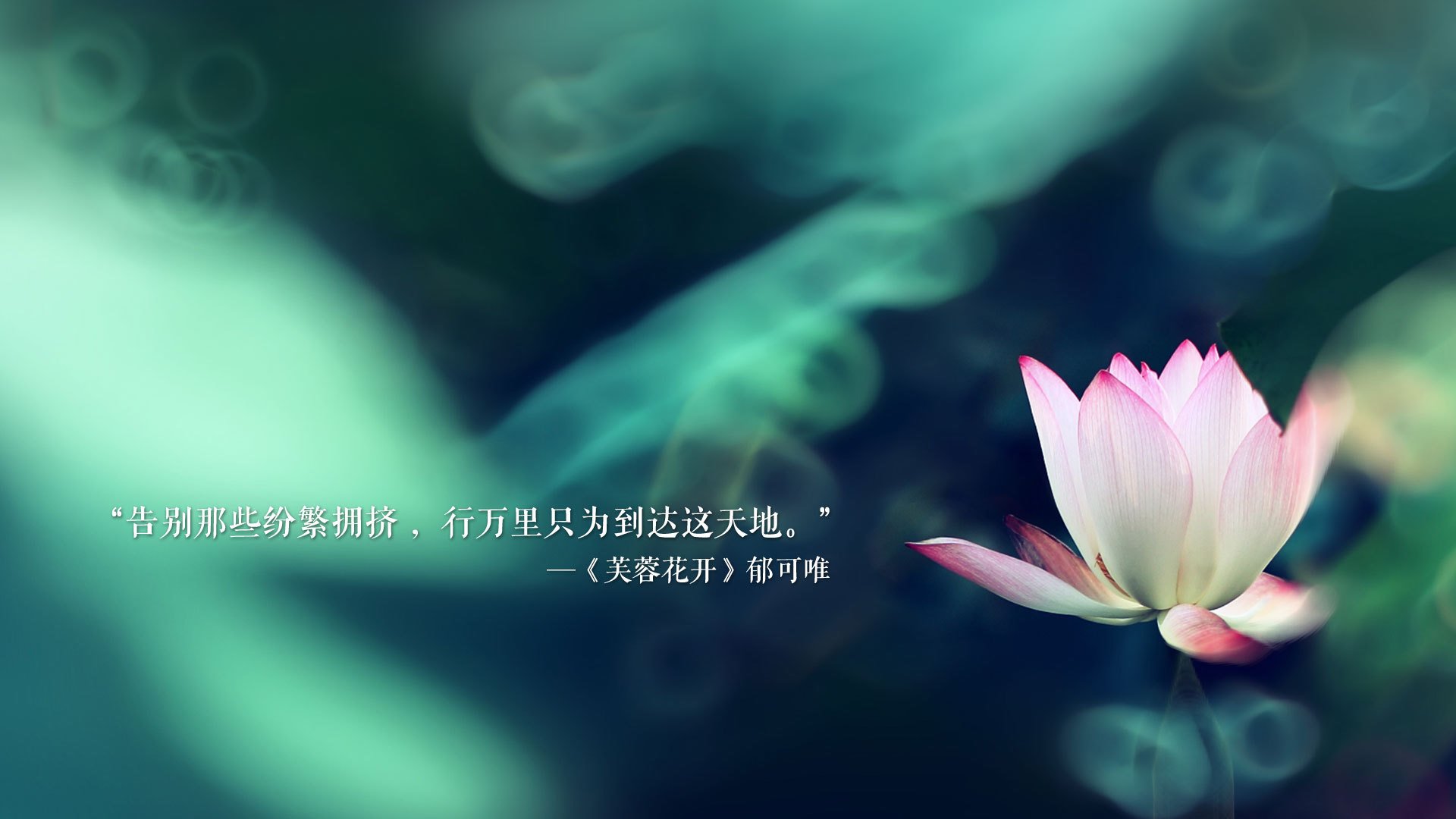 开云平台-替补奇兵暗夜破局，梅西遥控世界杯头名之战，伊朗摩洛哥暗战中的唯一剧本
