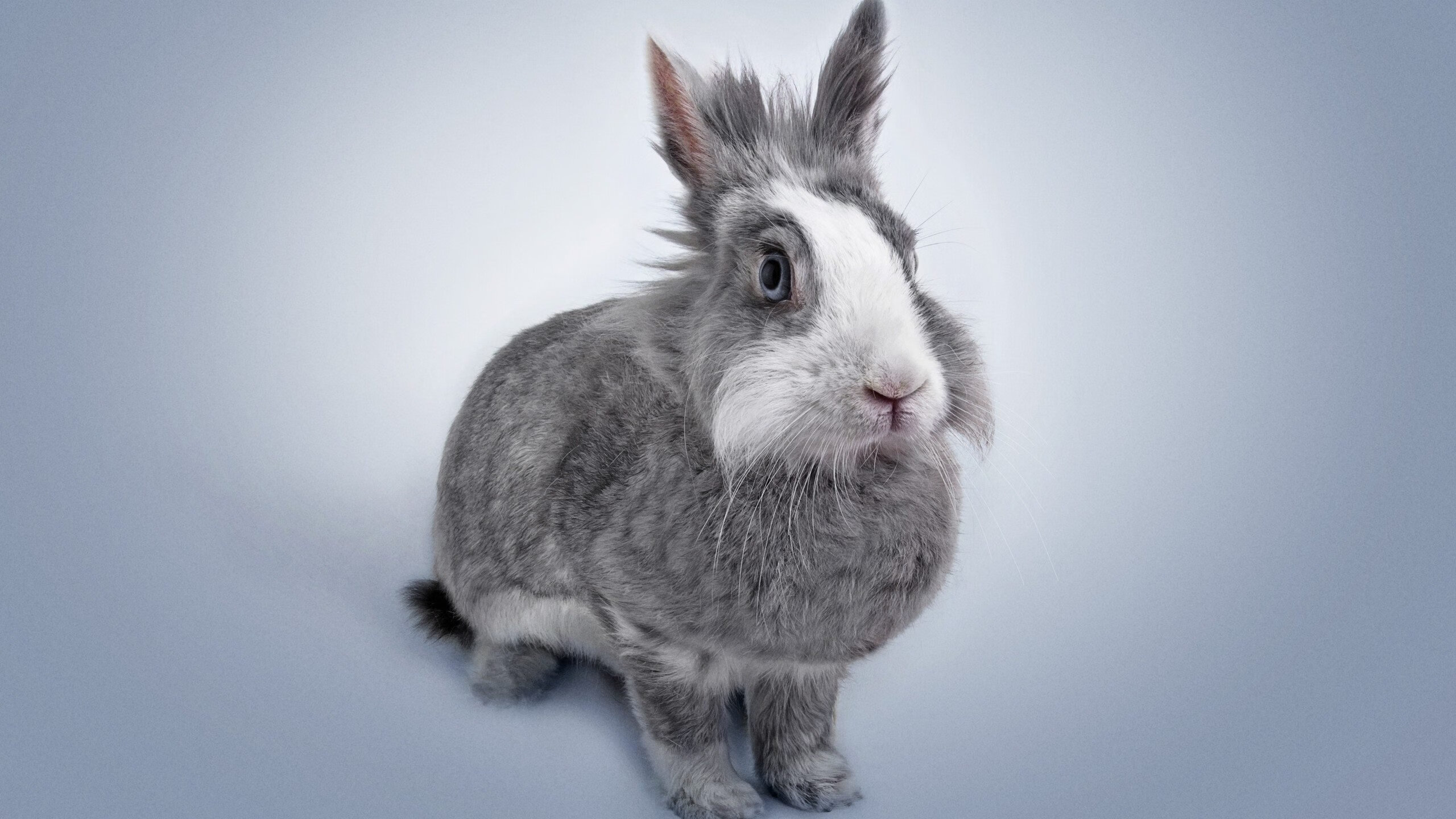 单人独奏的星球,当2026世界杯G组焦点战,成为梅西对乌兹别克斯坦的科技碾压