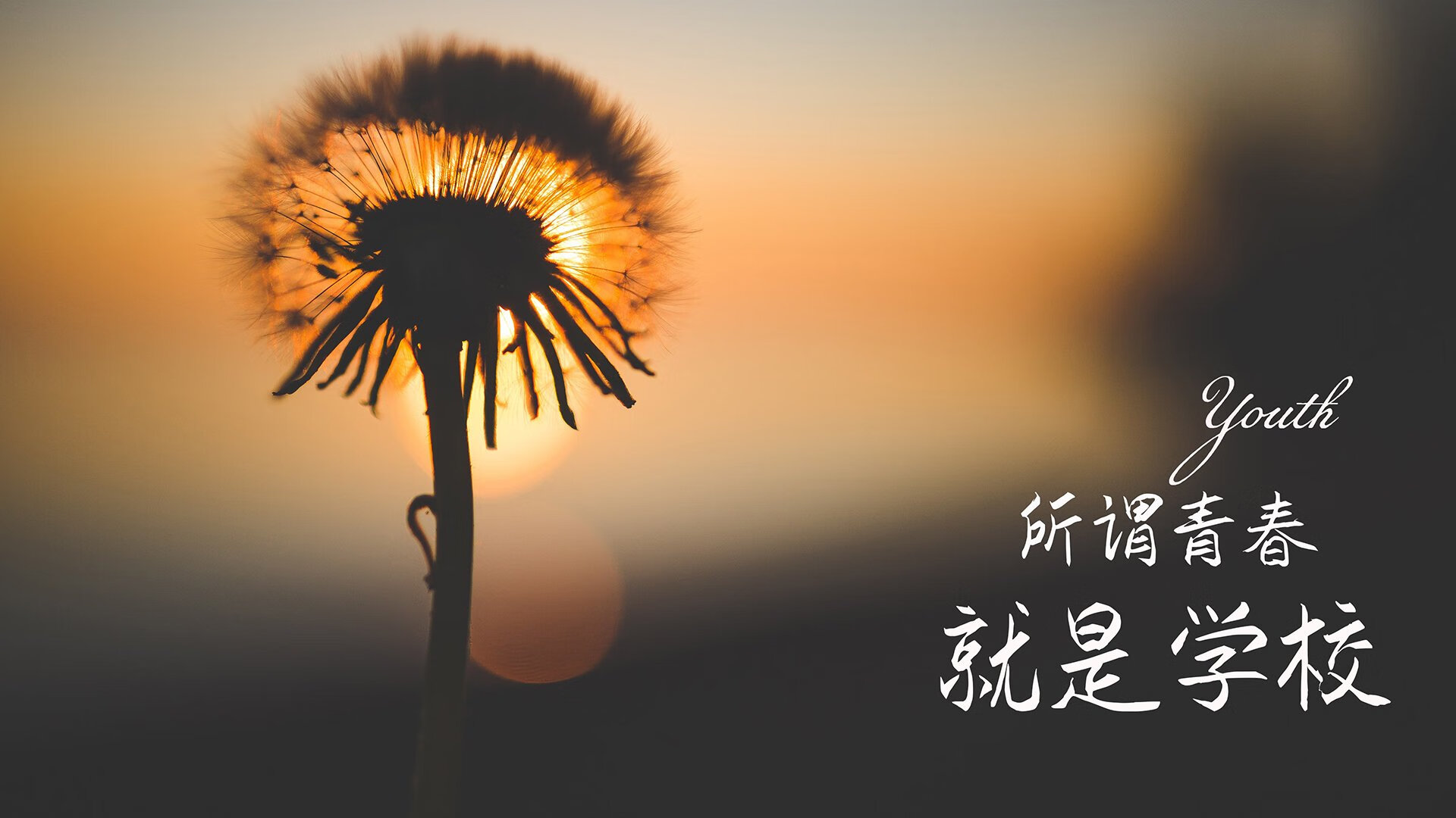 北极光与沙漠之鹰的碰撞，B费铸就2026世界杯D组唯一神迹