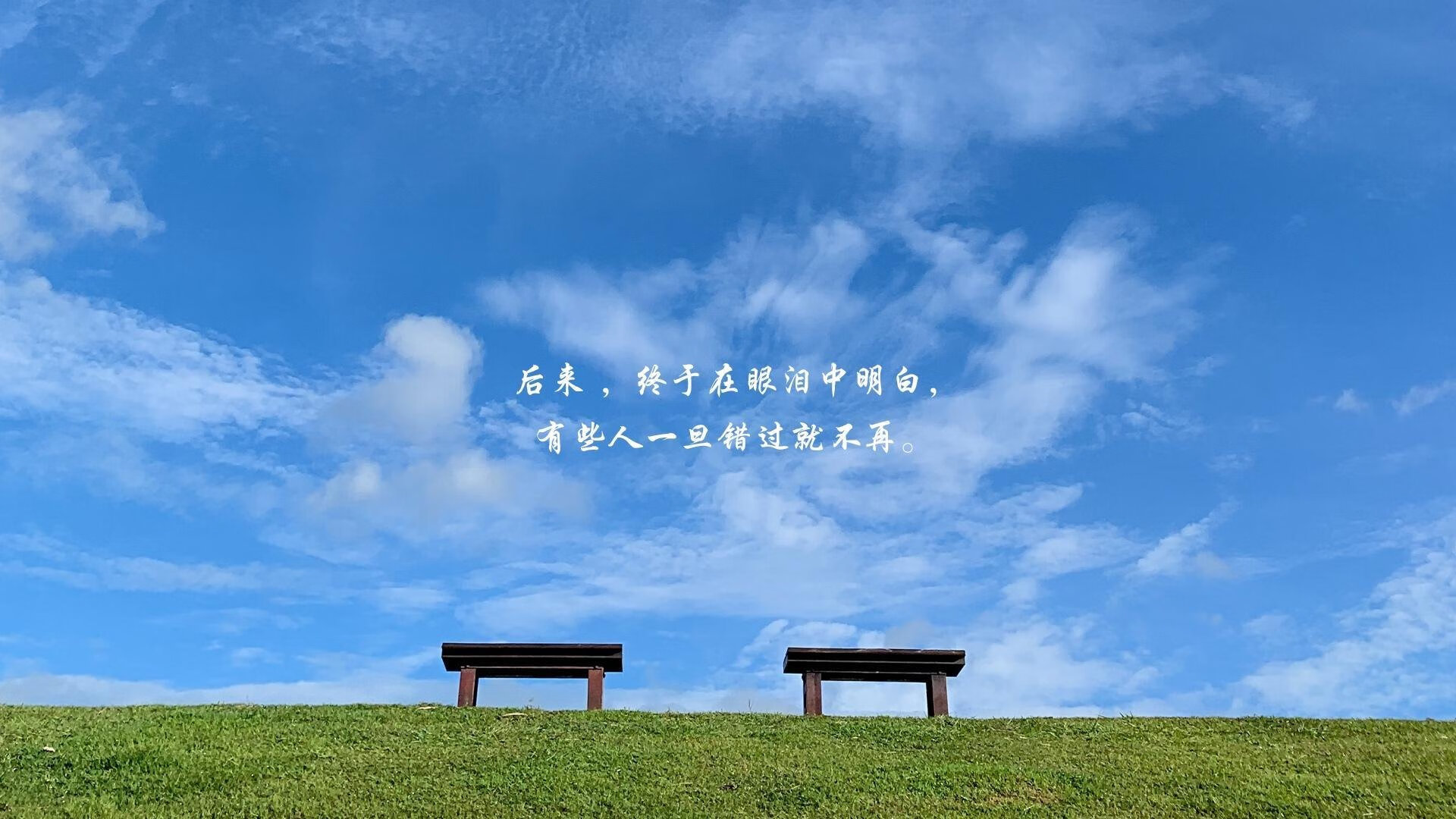 独一无二的巅峰对决，2026世界杯，喀麦隆的钢铁防线与三笘薰的闪电反击